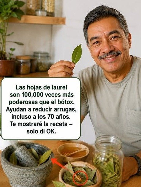 El Secreto del Laurel para las Arrugas a los 60+: ¿Funciona de Verdad o te están mintiendo? ¡Descubre la VERDAD antes de probarlo!