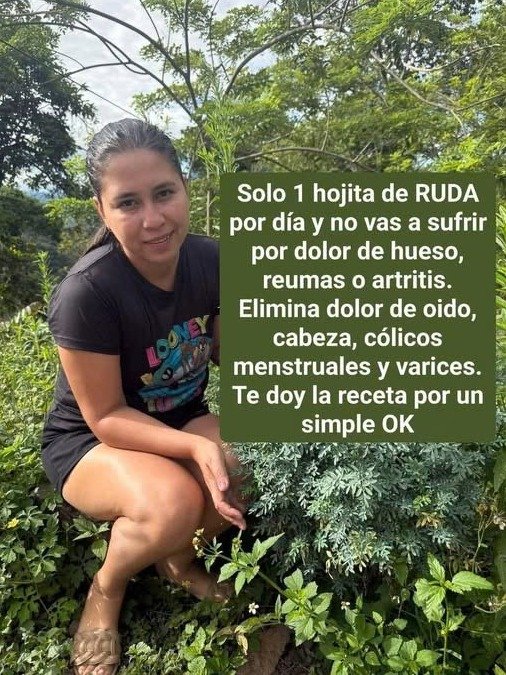 ¡Increíble! La Ruda Revela Sus 15 Secretos Milenarios: ¿Estás Listo para Transformar Tu Salud?