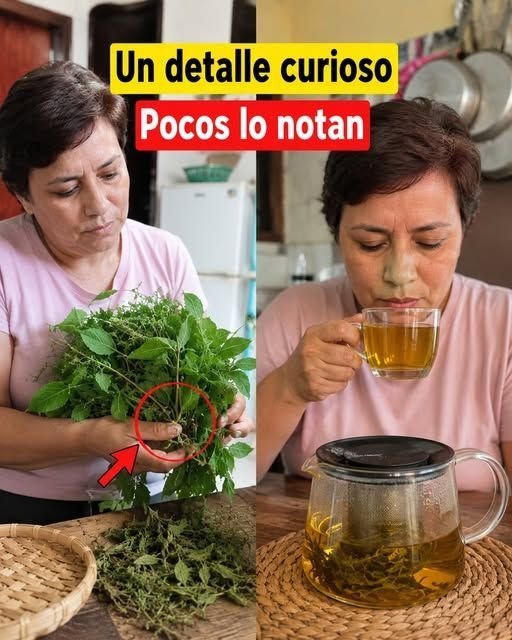 ¡Alerta Roja! Si Tu Orina Hace Espuma, Tus Riñones Podrían Estar Gritando Ayuda (Y Cómo Evitarlo HOY)