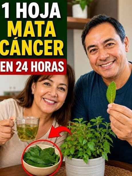 ¿Cansado de sentirte agotado y enfermarte? ¡Este es el SECRETO VERDE que tu cuerpo te está IMPLORANDO para blindar tus defensas y RECUPERAR tu energía AHORA!