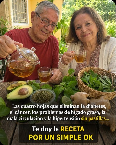 ¡No te lo vas a creer! El SECRETO de 5 hojas comunes que tu metabolismo y circulación necesitan URGENTE (y nadie te lo ha dicho)