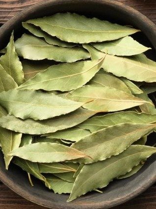 ¡ATENCIÓN! Si tienes HOJAS DE LAUREL en tu cocina, estás a punto de descubrir el SECRETO ANTIEVEJECIMIENTO que nadie te cuenta