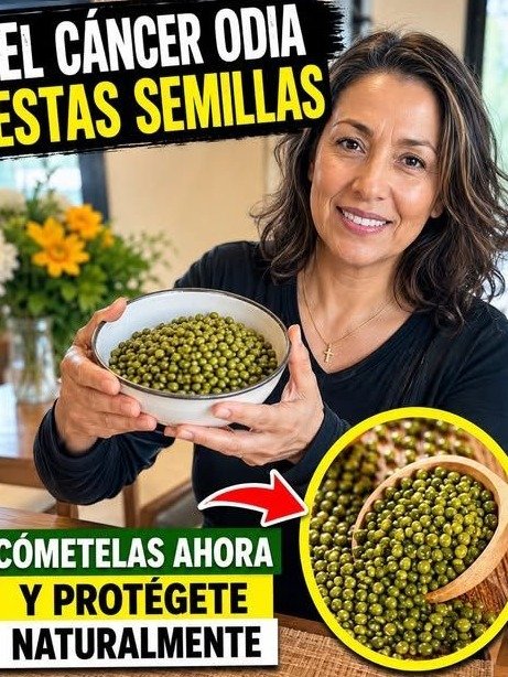 ¡ALERTA! Si tienes más de 50, estos 6 frutos secos son tu secreto para una vida plena (y el error que TODOS cometen)