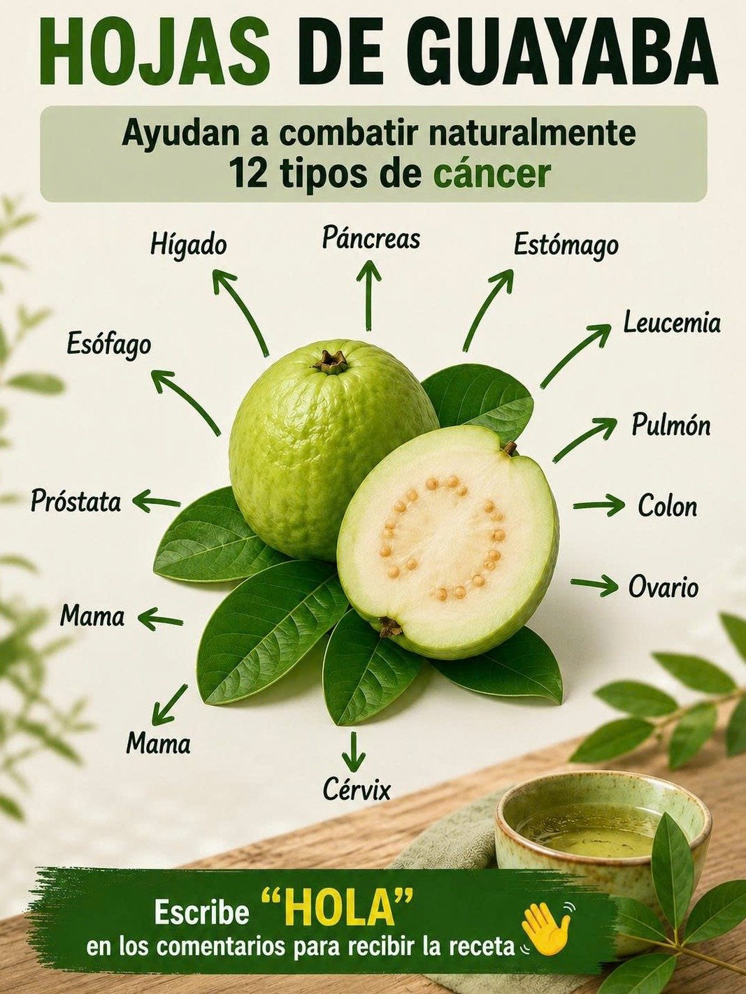 ¡El Secreto Ancestral Revelado! Descubre CÓMO el Té de Hojas de Guayaba Está Transformando la Salud de Miles y CÓMO Prepararlo HOY Mismo