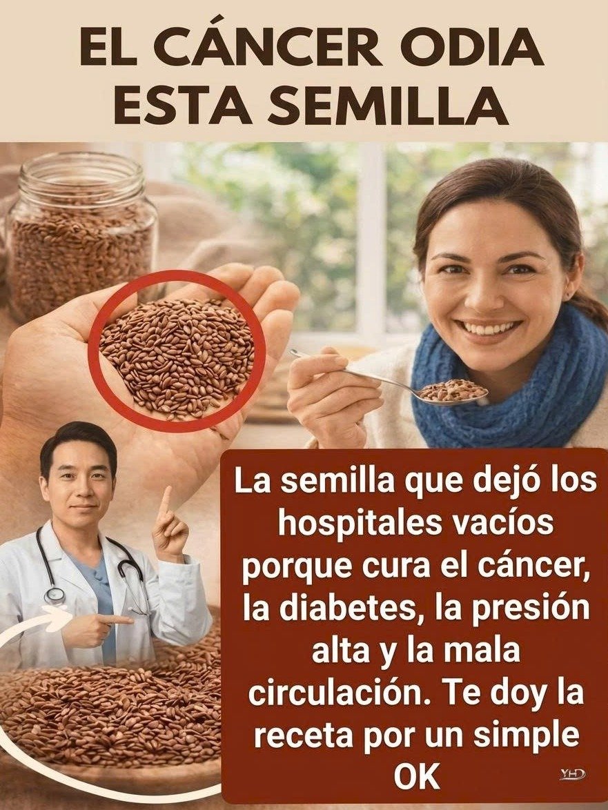 ¡Impacto Instantáneo! Estas 5 Semillas Olvidadas Están Transformando Vidas ¿Las Conoces?