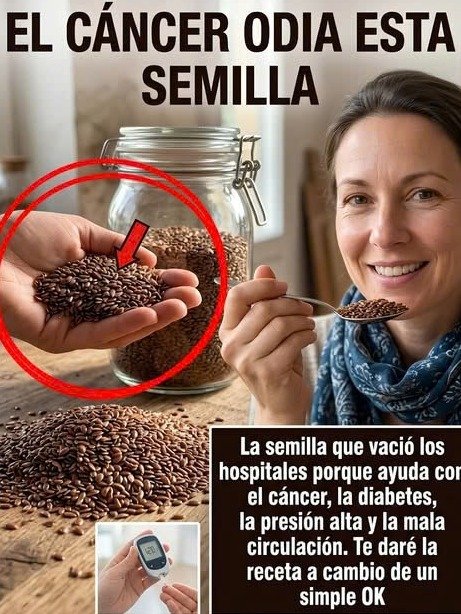 ¡No Vas a Creer el Poder Oculto! Descubre las 5 Semillas MÁS PEQUEÑAS que Transformarán TU Salud y Energía HOY Mismo (¡La #3 es Vital!)