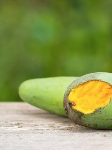 ¡Advertencia URGENTE! La ÚNICA fruta que el Ministerio de Salud te prohíbe comer para salvarte del virus Nipah (¡y es más común de lo que crees!)