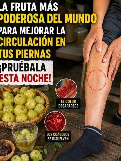 ¡Alerta! La Fruta 'Olvidada' que Nadie Te Ha Contado Para Una Circulación de Hierro en Tus Piernas (¡No Creerás los Resultados!)