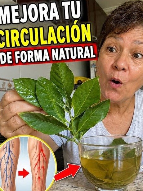 ¡Adiós Piernas Pesadas! El Secreto de 6 Ingredientes Naturales Que NADIE Te Cuenta para Sentirte LIGERA al Instante