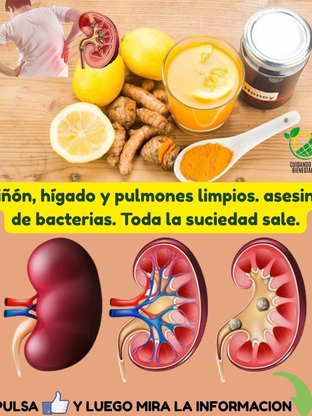 ¡Alerta Saludable! Este Jugo Secreto de Naranja y Jengibre Desintoxicará Tus Riñones, Pulmones e Hígado y Te Devolverá la Energía que Perdiste
