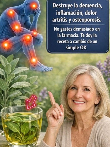 El Secreto Milenario que NADIE te Cuenta: Una Taza de Té de Salvia al Día Puede Destruir la Inflamación, Rejuvenecer Tu Memoria y Eliminar el Dolor Crónico