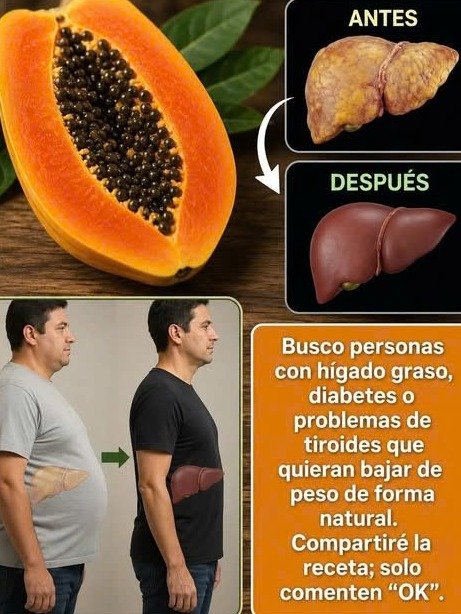 ¡Adiós Hinchazón! El Batido Secreto que Limpia tu Colon y te Deja con un Vientre Plano en Días (La Receta que Debes Probar HOY)
