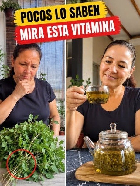 ¿Piernas Pesadas y Mala Circulación? ¡El SECRETO de la Vitamina E que NADIE te ha Contado para Transformar tu Salud Vascular HOY Mismo!