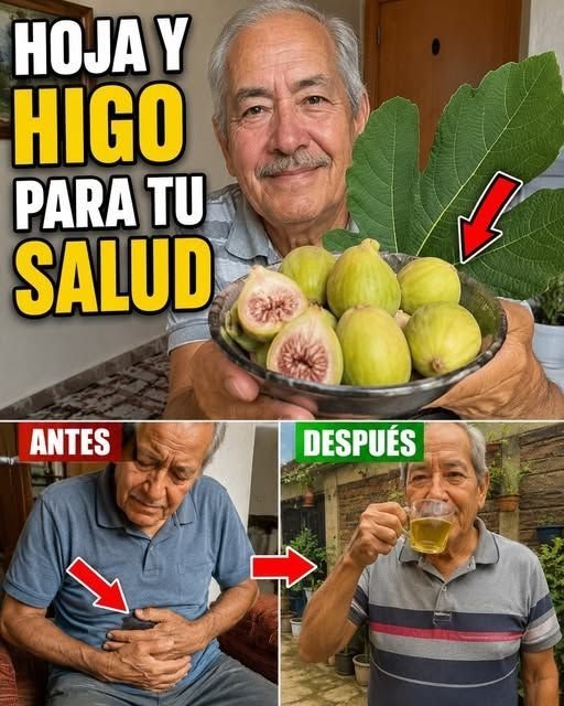 ¡No lo Creerás! El Tesoro Oculto en tu Jardín que PODRÍA Transformar tu Salud Después de los 50 (¡Tu Abuela Tenía Razón!)