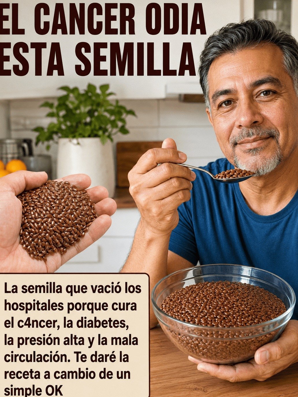¡Alerta! ⚠️ 5 Semillas Secretas Que Despertarán Tu Energía y Calmarán Tu Vientre (El #3 Te Sorprenderá)