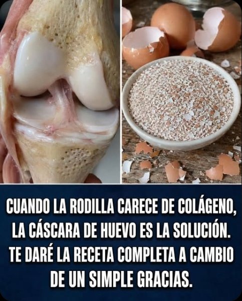 ¡Stop! Estás Tirando el Secreto #1 para Huesos de Acero: El Calcio Natural que Tu Cuerpo Pide a Gritos