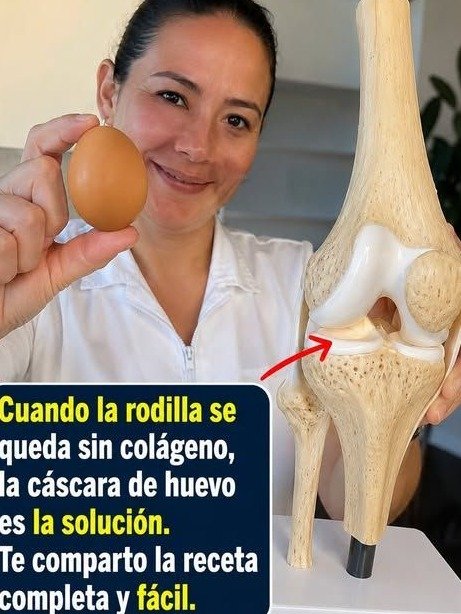 ¡No Tienes que Sufrir! El "Truco" Casero con Cáscara de Huevo que Miles de Adultos Mayores en México Están Usando para sus Rodillas (¡Y Funciona!)