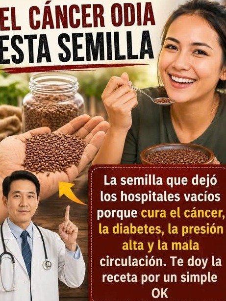 ¡No te lo Pierdas! 5 Semillas 'Mágicas' Que Transformarán Tu Salud Desde HOY (Recetas Facilísimas)