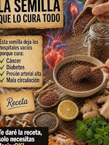 ¡El Pequeño Secreto que Nadie Te Cuenta! Descubre las 6 Semillas Poderosas que Transformarán Tu Salud y Energía Hoy Mismo