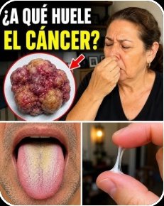 ¡ALERTA! Si Tienes Más de 60, ESTOS 8 Olores Corporales Son Señales Vitales Que NO Puedes Ignorar (La #8 Te Dejará Pensando)