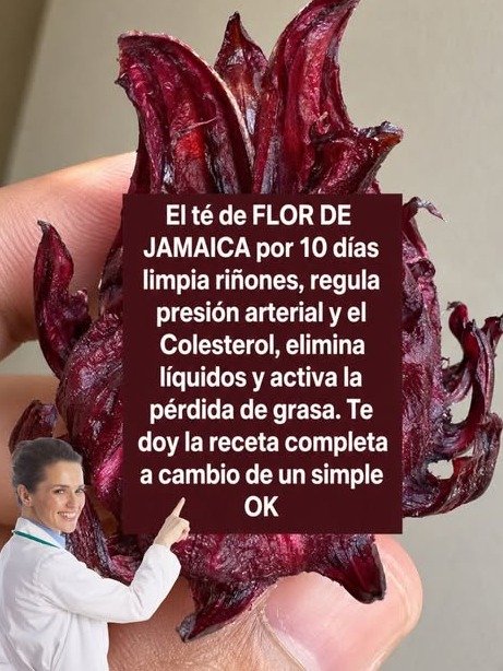 ¡El Secreto Ancestral que Tu Cuerpo Pide a Gritos! Descubre Cómo el Té de Jamaica, Canela y Laurel Transformará Tu Salud Desde HOY
