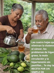 ¡El Secreto Revelado! Las 4 Hojas Ancestrales que TU Cuerpo Necesita URGENTEMENTE para un Bienestar Total (¡No Querrás Perdértelo!)