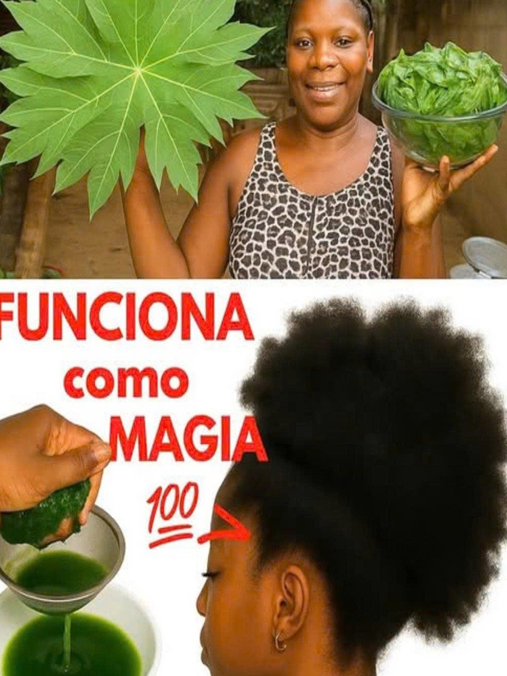 ¡El Secreto Que Tu Peluquero NO Quiere Que Sepas! Hojas de Papaya: ¿Lista Para Un Crecimiento Capilar EXPLOSIVO y Cabello De Ensueño?