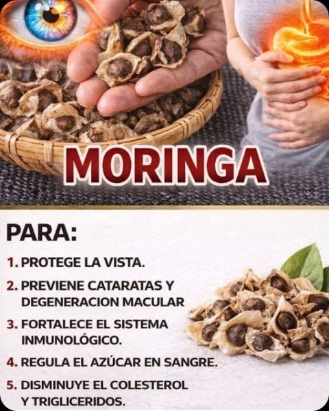 ¡El 'Súper Alimento' Oculto que Está Revolucionando Tu Salud! Descubre Por Qué TODAS Hablan de las Semillas de Moringa