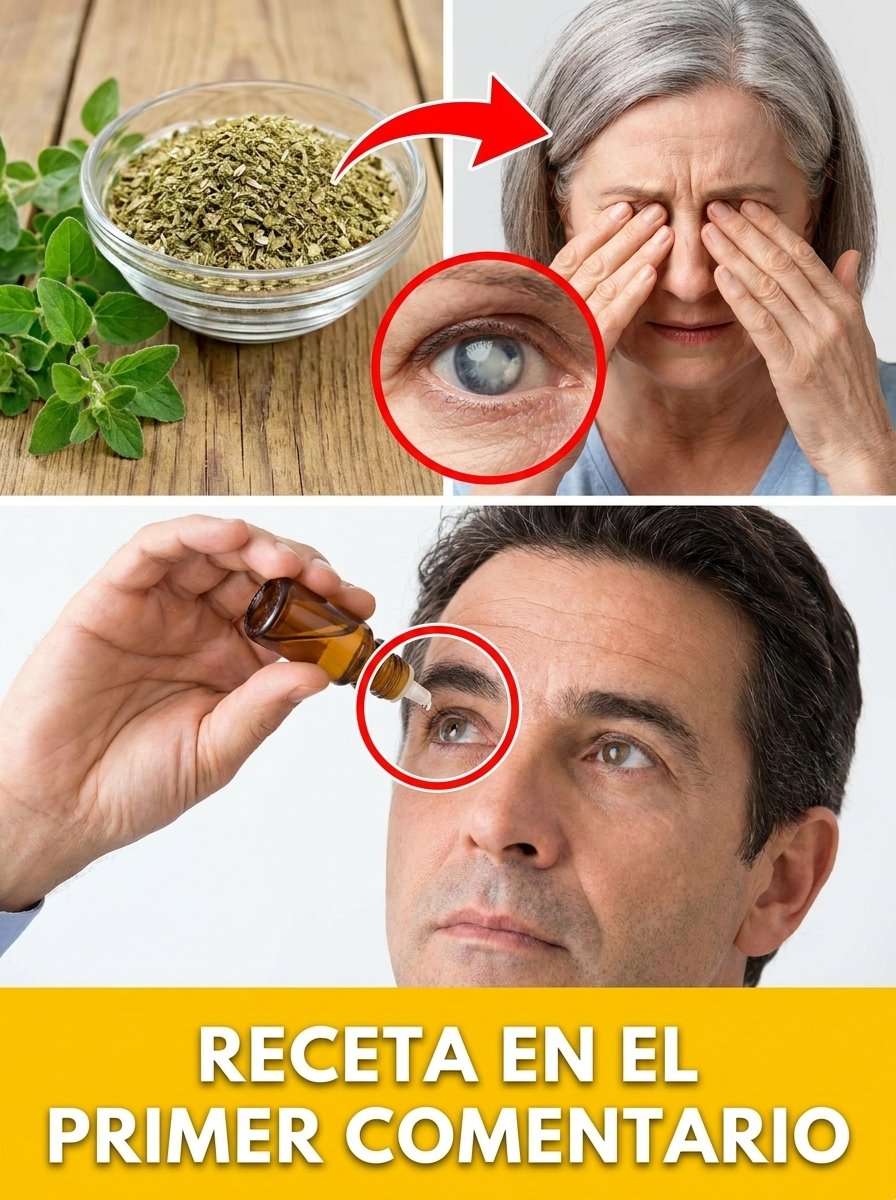 ¡El Secreto Ancestral que tus Ojos Necesitan! Descubre cómo la Eufrasia está REVOLUCIONANDO el Confort Visual de Miles después de los 50