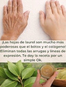 ¡ALERTA ANTI-EDAD! ¿Hojas de Laurel: El 'Bótox Natural' o Un Gran Engaño Viral que DEBES Conocer? ¡La Ciencia Habla!