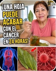 ¡STOP! Si eres Adulto Mayor en México y Usas Laurel, NADIE te ha Contado ESTE Detalle Crucial (¡Podría Cambiarlo TODO!)