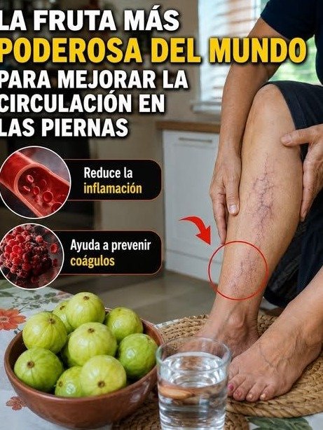 Piernas Pesadas al Final del Día? ¡El SECRETO de la Guayaba para Revitalizar tu Circulación HOY Mismo! (Incluye Receta Mágica)
