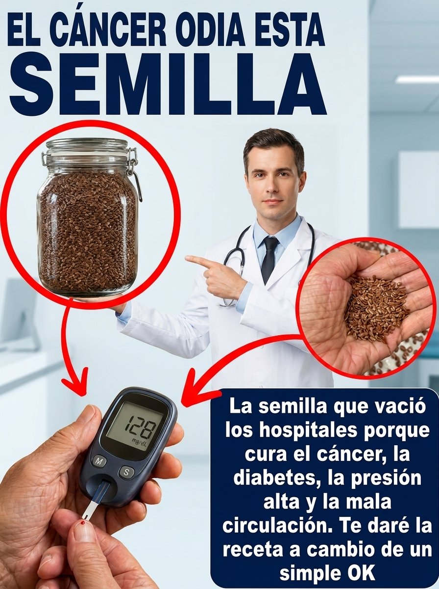 ¡Alerta Saludable! Las 5 Semillas 'Milagrosas' Que Tu Cuerpo Necesita URGENTE (y que NUNCA te Contaron)