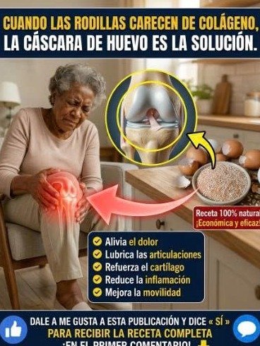 El Secreto Olvidado que Tus Rodillas Suplicarán: ¡No Tires Más las Cáscaras de Huevo! (Tu Colágeno Te Lo Agradecerá) 🦵🥚✨