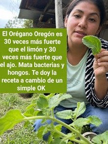 La Infusión Secreta de Canela, Ajo y Orégano: El Remedio Natural que Tu Cuerpo NECESITA para Blindar tu Salud y Vivir PLENO (¡No Te Quedes Fuera!)