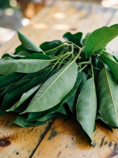 Guanábana y Cáncer: ¡La Ciencia Desvela la ÚNICA Verdad que DEBES Saber Antes de Tomar un Solo Té!