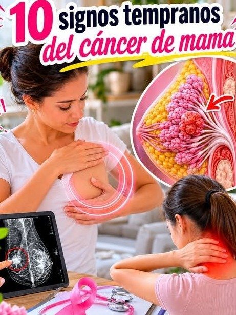 ¡ALERTA MÁXIMA! ¿Ignoras Estas 7 Señales de Cáncer de Mama? Podría Ser Tarde (Lo Que Toda Mujer DEBE Saber AHORA)