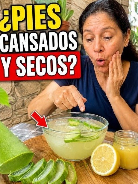 ¿Cansado de Piernas Pesadas y Várices? ¡Descubre el Secreto del Aloe Vera que Nadie Te Ha Contado para SENTIRTE LIGERO en Días!