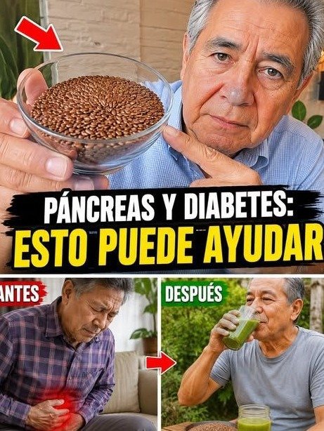 ¡Alerta Roja! Los 8 Alimentos 'Inocentes' Que DEBES Eliminar HOY Para Recuperar Tu Energía y Evitar El Sabotaje Silencioso a Tu Salud