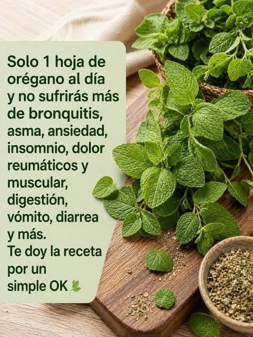 El Truco SECRETO de 1 Hoja al Día: Lo que Nadie te Cuenta sobre los Beneficios del Orégano para tu Salud 🌿 ¡Prepárate para el Cambio!