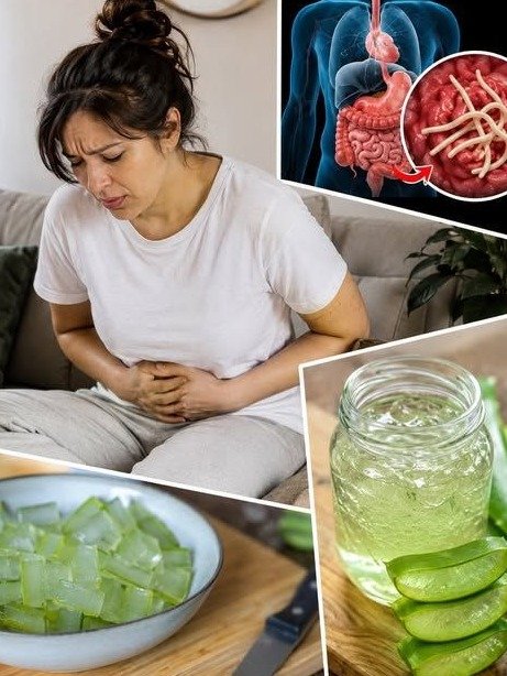 El Secreto Ancestral Revelado: Esta Mezcla de Miel, Sábila y Limón Aliviará tu Digestión ¡y te Llenará de Energía en Días! (Con un Truco que Nadie te Cuenta)
