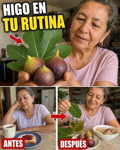 ¡ALERTA! Tu Jardín Esconde el Remedio Ancestral para Tos y Piernas Cansadas que Nadie Te ha Contado (y LO NECESITAS AHORA)