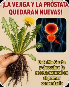 ¡Olvídate de lo que Sabías! Esta Humilde Planta Silvestre es el Secreto Mejor Guardado para tu Vejiga y Próstata (¡No la ignores más!)