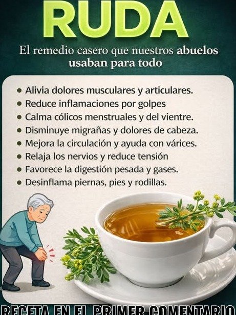 ¡El Secreto Ancestral de Tus Abuelos Revelado! Esta ÚNICA Planta Elimina el Dolor Articular y Muscular de Raíz