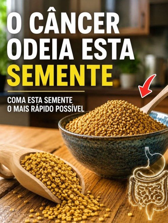 El Secreto Mejor Guardado: Las 6 Semillas Mágicas Que Tu Cuerpo Necesita HOY Para Una Salud Increíble