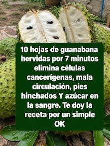 ¡El SECRETO Ancestral de la Guanábana Revelado! 7 Beneficios Asombrosos Que Podrían Transformar Tu Salud Hoy Mismo