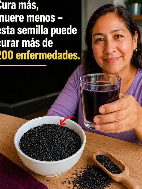 ¡Alerta Viral! La 'Semilla Negra': ¿Milagro o Peligro Oculto? Lo que los Adultos Mayores DEBEN Saber URGENTE para No Caer en la Trampa