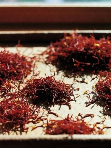 ¡No Ignoren Esto! El 'Oro Rojo' Que La Ciencia Confirma: Así Puedes Proteger y Mejorar Tu Visión HOY Mismo