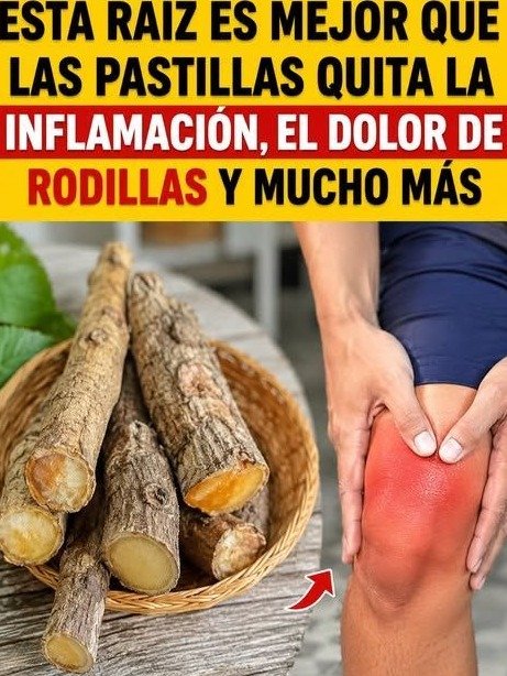 ¿Más de 60 y dolor de rodillas? Descubre la RAÍZ ANCESTRAL que está REVOLUCIONANDO el confort articular (¡Tu independencia te lo agradecerá!)