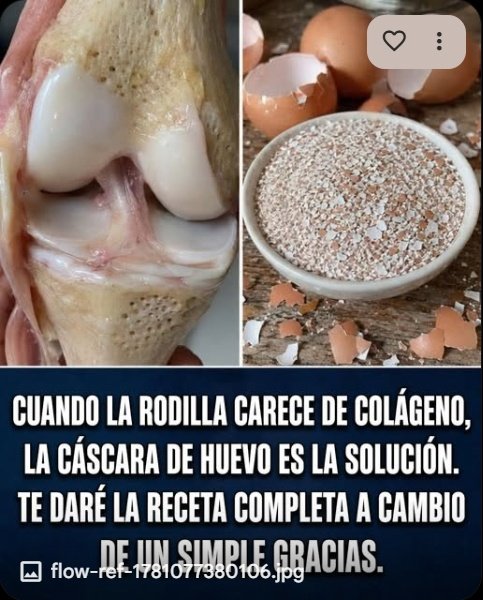 ¡No lo vas a creer! 7 Impactantes Beneficios del Jengibre Rallado que Necesitas para Transformar Tu Salud Hoy Mismo